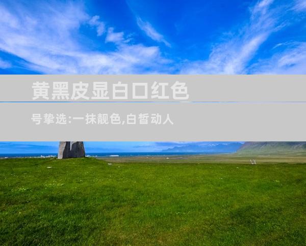 黄黑皮显白口红色号挚选:一抹靓色,白皙动人