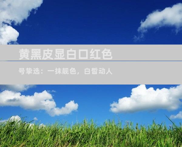 黄黑皮显白口红色号挚选：一抹靓色，白皙动人
